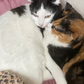 ＧＷの憂鬱と　　占拠される喜びの画像