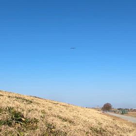 ホバリングしてるの？の画像