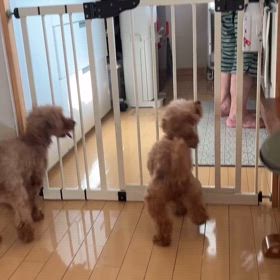 可愛いふたり(*^▽^*)の画像