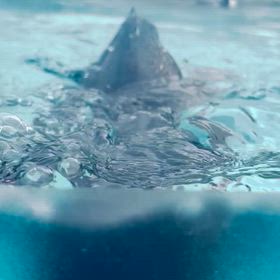 一枚　シリーズの画像