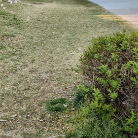きょうの散歩道の画像