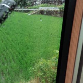 出雲市遠征奇行番外編②の画像