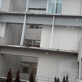 3/19 運試し。の画像