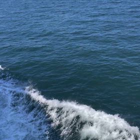 お盆休み後半の画像