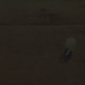 コマ撮りの画像