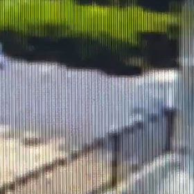 ？　Σ('◉⌓◉’)の画像