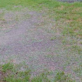 土砂降りの画像