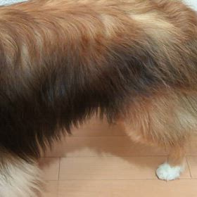 出てきてよ〜の画像