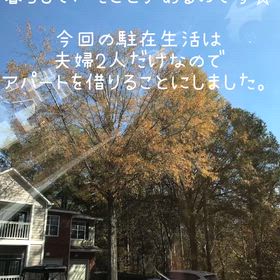 到着翌日。の画像