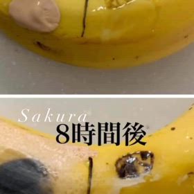 肝斑の外因の画像