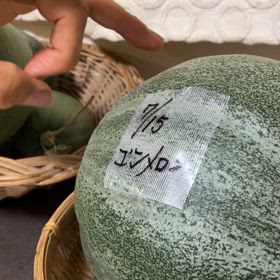 ７／２６　メロンちゃん音記録の画像