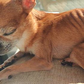 年をとって痩せてきたの画像