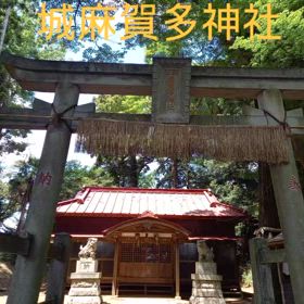 2025/07/30の画像