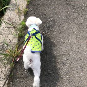 まる吉、誕生日の画像