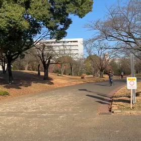 県駅伝最終選考会③の画像