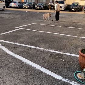 2024/11/28☀️の画像