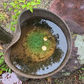 こんにちは。(5月9日)の画像