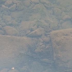 ヒーリング動画の画像