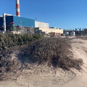 ビーチサイクリングの続きの続きの画像