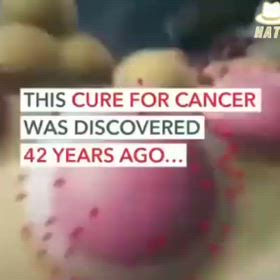 エリートは老衰しかしない　Secret_history1/6330の画像