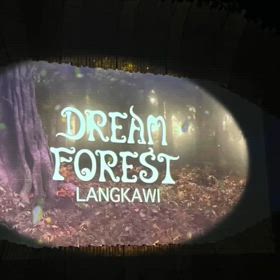 ドリームフォレストの画像