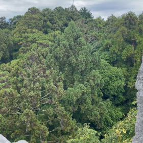 旅行の続きの画像