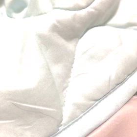 チワワのぷぅU^ェ^Uちゃんの画像