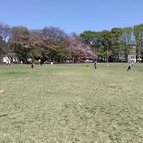 4/12 ジャベリックスロー⑦の画像