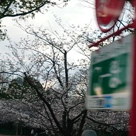 城見台公園と姫路城・2025年 4月 5日の画像