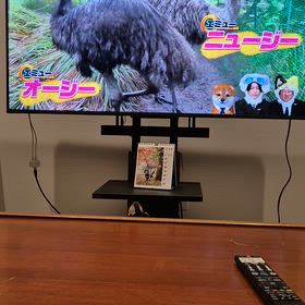 わんわんの画像