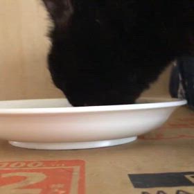 体調安定の画像