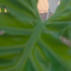 元気な北風の画像