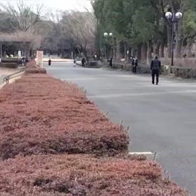 2/17 リレー選考会➉の画像