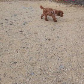 のんびり♪の画像