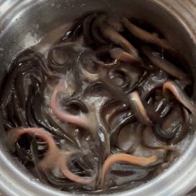 肥えたー‼︎の画像