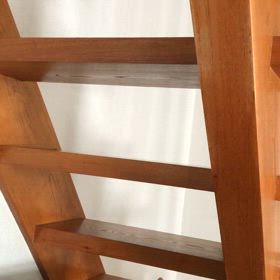 お喋りな季節がやってきた！＋妊婦・・・の画像