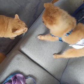 2024年8月27日火曜日の画像