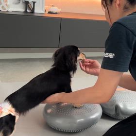 心桃トレーニングの画像