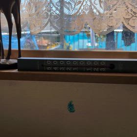 今日のヒヨちゃんの画像