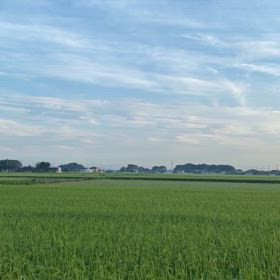 優しい朝　♡の画像