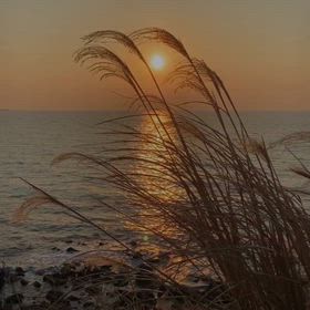 Kin186のエネルギーの画像