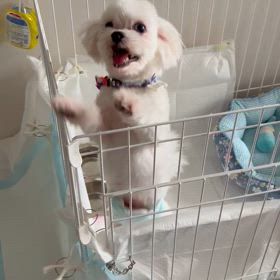今日のデーツくんの画像