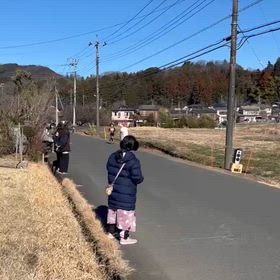 越生駅伝（5.6年女子の部動画）④の画像