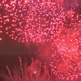 なにわ淀川花火大会！の画像