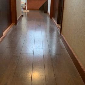 新しいおもちゃの画像