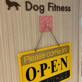 dog フィットネスの画像