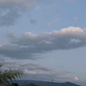 ひぐらしの画像