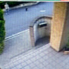 リードを伸ばし、自由にさせる飼い主！Σ('◉⌓◉’)の画像