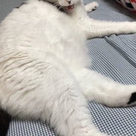 期待する何かの画像