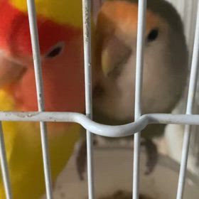 整形外科の画像